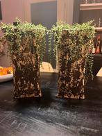 Vazen goud zwart, Huis en Inrichting, Woonaccessoires | Zuilen en Pilaren, Ophalen, Gebruikt