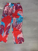 Labeldot Zomerbroek Maat 38 Nieuw, Maat 38/40 (M), Overige kleuren, Nieuw, Ophalen of Verzenden