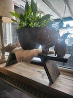 Vensterbank bankje old Look, Huis en Inrichting, Ophalen