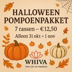 Pompoen Zaden Pakket - Diverse Soorten!, Ophalen of Verzenden, Voorjaar, Volle zon, Zaad