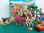 Playmobil Country 5227 - Merrie met Veulen, Ophalen of Verzenden, Zo goed als nieuw, Complete set