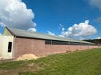 Staalconstructie + sandwichpanelen dak loods | stal, Dieren en Toebehoren, Stalling en Weidegang, Stalling