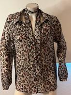 Liu jo tule blouse met losse riempje maat it 44, Kleding | Dames, Blouses en Tunieken, Maat 38/40 (M), Liu Jo, Ophalen of Verzenden