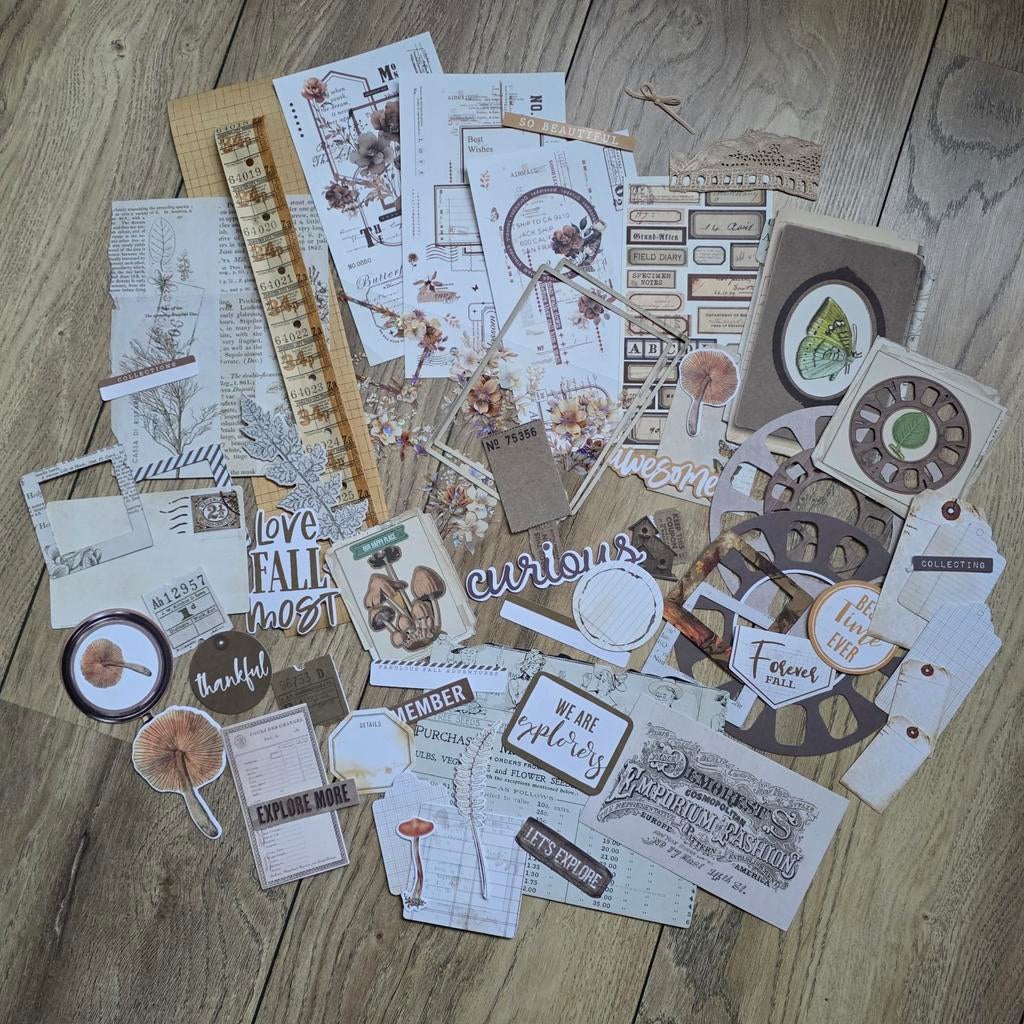 Restanten ephemera 2, bruin, Hobby en Vrije tijd, Verzenden