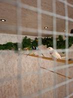 Diverse gouldamadines, Meerdere dieren