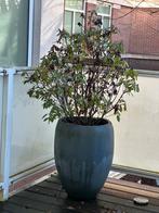 Grote plantenpot voor buiten - 3 voet, Ophalen, Gebruikt, Balkon, 40 cm of meer