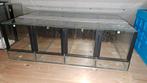 Terrarium voor 4 spinnen/insecten aan elkaar (spinnenstraat), Spin of Schorpioen