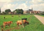 Hattem  Gezicht op, Ophalen of Verzenden, Gelopen, Gelderland