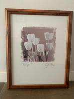 schilderij tulpen, Ophalen, Minder dan 50 cm, 50 tot 75 cm, Zo goed als nieuw