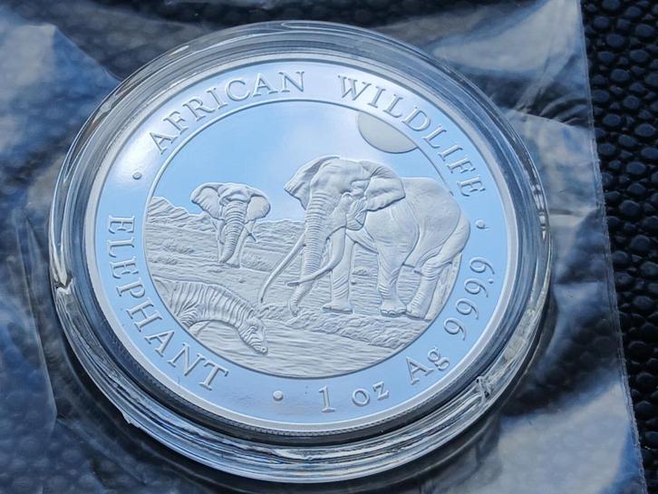 2026 Somalia Olifant 1 oz zilver, Postzegels en Munten, Munten | Afrika, Overige landen, Zilver, Ophalen of Verzenden