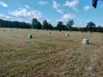 140 Midibalen Hooi - Paardenvoer, Sint Jacobskruid vrij, Dieren en Toebehoren, Ophalen, Vee