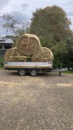 Frans weidehooi/Paardenhooi/ Hooi laag in suikers, Ophalen of Verzenden, Vee