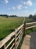 Gezocht! Weiland te koop, Weidegang