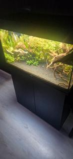 Juwel Rio 125 Led, Dieren en Toebehoren, Vissen | Aquaria en Toebehoren, Ophalen of Verzenden, Zo goed als nieuw, Gevuld zoetwateraquarium