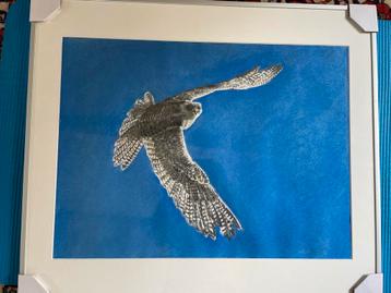Giervalk Pastel - Ingelijst 70x60cm beschikbaar voor biedingen