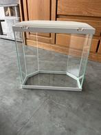 Aquarium wit met glas, Dieren en Toebehoren, Ophalen of Verzenden, Zo goed als nieuw, Leeg aquarium
