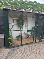Complete voilere incl. binnen hokken,broedhokken enz, Ophalen, Gebruikt, Aluminium, Broedkooi of Kweekkooi