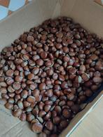 Tamme kastanjes, Ophalen