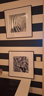 2 Luik Zebra,  lijst zwart, Ophalen, 50 tot 75 cm, Zo goed als nieuw, Schilderij