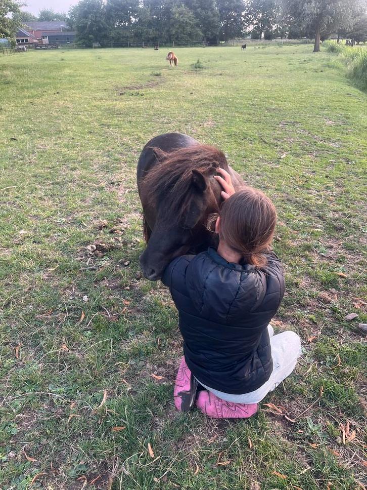 Verzorger of verzorgers gezocht‼️, Dieren en Toebehoren, Overige Dieren, Meerdere dieren, September