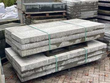 Oud Hollandse tegel Grijs 200x50x10 RESTPARTIJ beschikbaar voor biedingen
