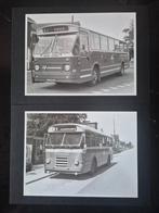 2 foto's NOF Dokkum. Bus 1121 en 6785. 18x24 cm., Verzamelen, Spoorwegen en Tramwegen, Ophalen of Verzenden, Zo goed als nieuw