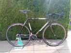 Pinarello Galileo, 28 inch, Gebruikt, Aluminium, 57 tot 61 cm
