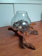 Terrarium, Ophalen, Zo goed als nieuw