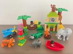 🎁 Duplo 10804 - Jungle 🎁, Kinderen en Baby's, Speelgoed | Duplo en Lego, Ophalen of Verzenden, Gebruikt, Complete set, Duplo