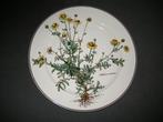 Villeroy & Boch Botanica, diverse losse onderdelen, Villeroy & Boch, Ophalen of Verzenden, Zo goed als nieuw, Overige stijlen