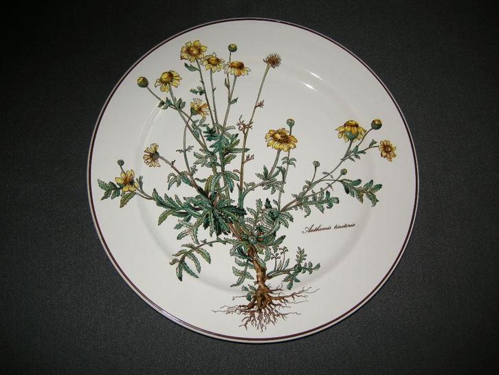 Villeroy & Boch Botanica, diverse losse onderdelen, Huis en Inrichting, Keuken | Servies, Zo goed als nieuw, Overige typen, Overige stijlen