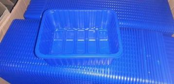 Verkoop bakjes 500 gram beschikbaar voor biedingen