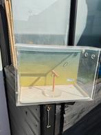 Foto kooi, Dieren en Toebehoren, Vogels | Hokken en Kooien, Ophalen of Verzenden, Zo goed als nieuw, Hout, Vogelkooi