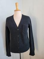 Pauw vest, Ophalen of Verzenden, Zo goed als nieuw, Maat 38/40 (M), Grijs