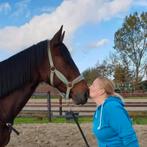 Gezocht verzorgpaard, Dieren en Toebehoren, Ophalen of Verzenden