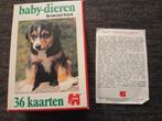 Baby-dieren kwartet (jumbo), Hobby en Vrije tijd, Ophalen of Verzenden, Gebruikt