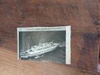 Knipsel Maasdam Holland Amerikalijn 1952, Ophalen of Verzenden, Zo goed als nieuw, Motorboot, Kaart, Foto of Prent
