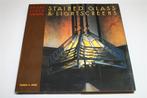 Frank Lloyd Wright [Architect] — Glaskunst & Lichtschermen, Boeken, Ophalen of Verzenden, Zo goed als nieuw, Architecten