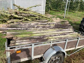weide palen heiningpalen afrasteringspalen  beschikbaar voor biedingen