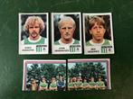 5 panini plaatjes PEC Zwolle voetbal 79, Ophalen of Verzenden