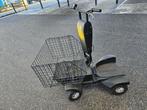Te koop: Elektrische 'Wodcar" / 800 Watt, Ophalen, Gebruikt, Info@e-kargo.eu, Sportplatzweg 19/A, Meran