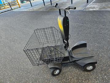 Te koop: Elektrische 'Wodcar" / 800 Watt beschikbaar voor biedingen