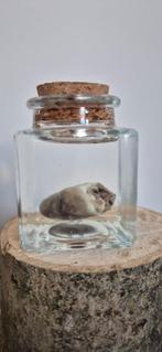 Te koop: Houtduif hartje, Verzamelen, Ophalen of Verzenden, Nieuw, Beeldje of Figuurtje