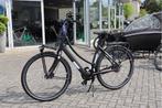 Popal ROYL1 l NIEUW! l Belt Drive l 53cm