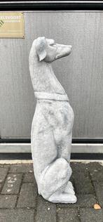 Hazewindhond van beton., Ophalen, Kunstverkoop, Nieuw, Kunstverkoop