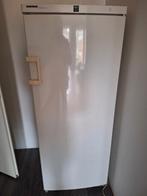 Koelkast Liebherr kastmodel, Ophalen, 200 liter of meer, 160 cm of meer, Zonder vriesvak