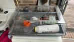 Hamster kooi, Kooi, Minder dan 75 cm, Zo goed als nieuw, Hamster
