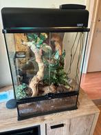 Terrarium, Ophalen, Zo goed als nieuw, Terrarium of Paludarium