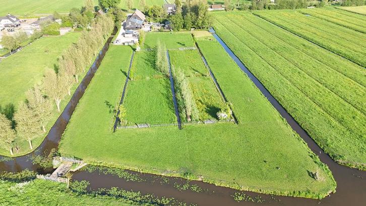 Stalling, veel buiten liefst 24/7, tussen gorinchem/leerdam, Dieren en Toebehoren, Stalling en Weidegang, Weidegang