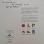 6 reprodukties kunstenaar Bas Mazur van pauw voor Zalsman, Ophalen of Verzenden